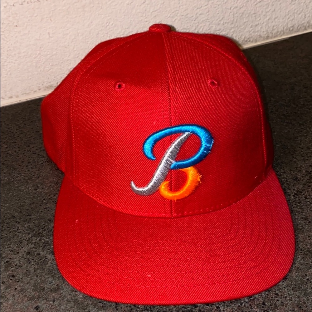 Black scale SnapBack hat